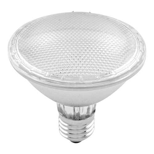 LED PAR30 Lamp ES 8W 650lm Dimmable 8W 3000K Warm White