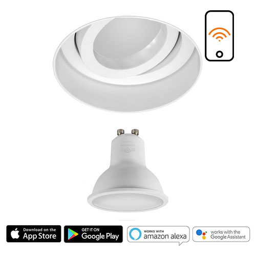 smart control downlight