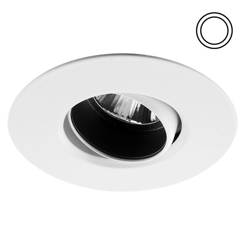 trimmed downlight