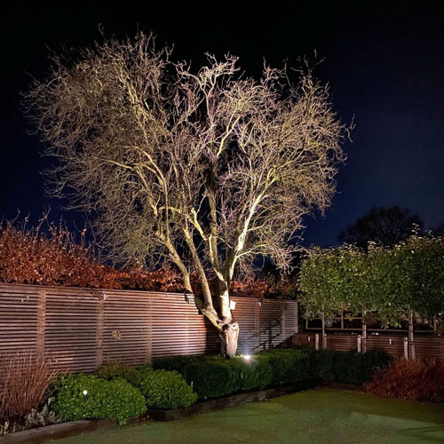 flood light on tree