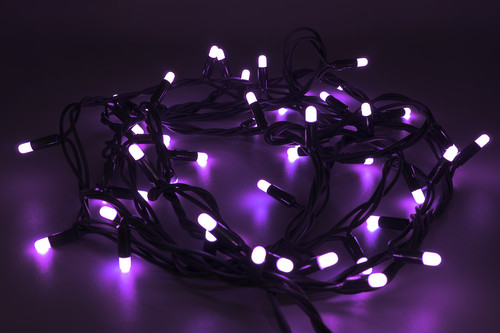 Purple LED string lights