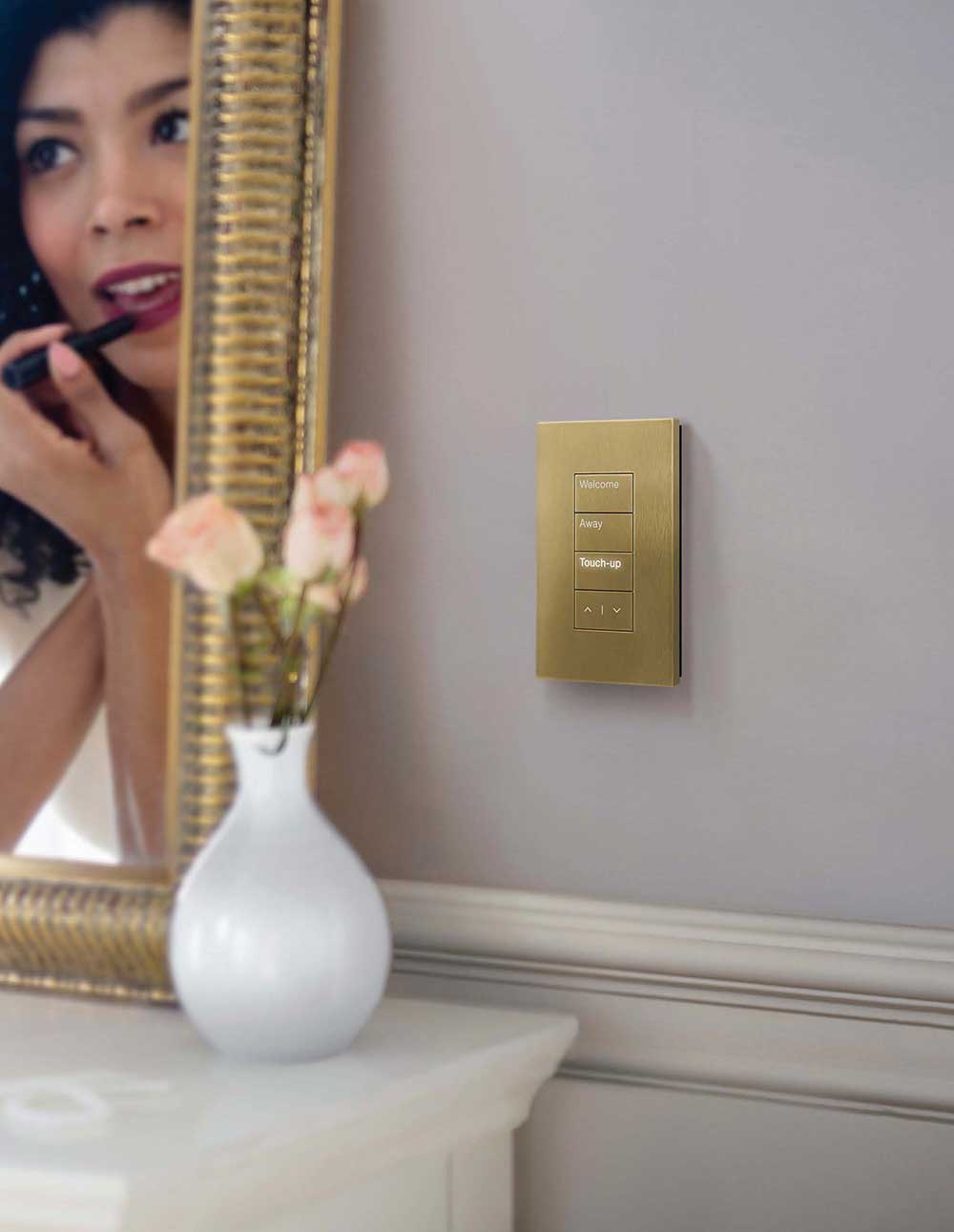 homeworks lutron system
