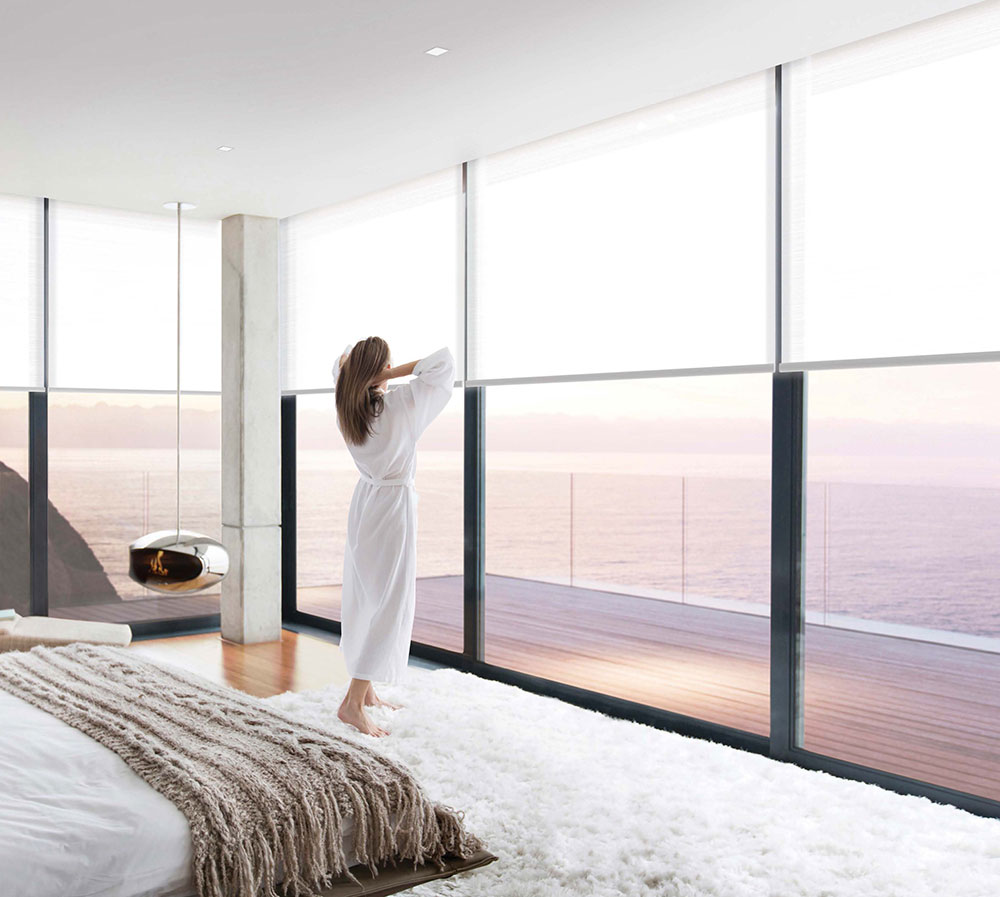 homeworks lutron system