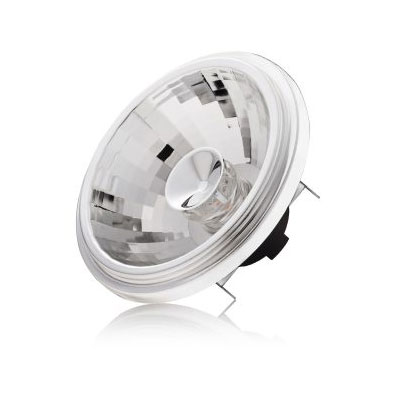 reality led ar111 lamp