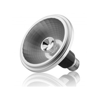 reality led par 30 lamp