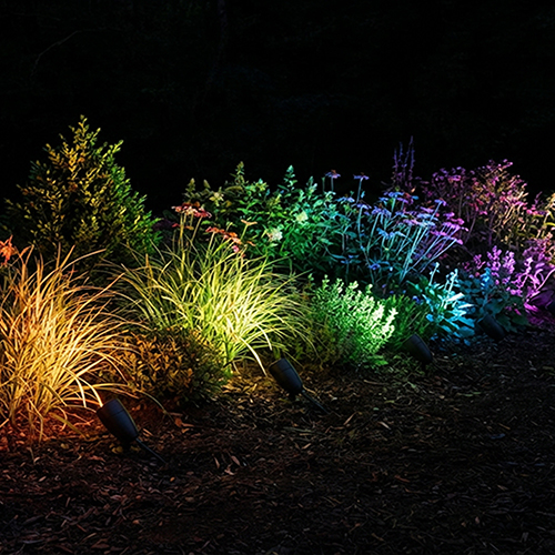 RGB and White Spike Lights