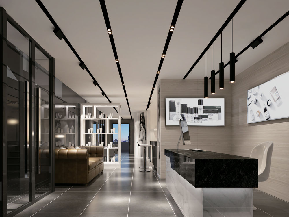 slim duet led track lighting system