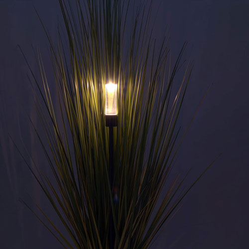 wise fusion dimmer