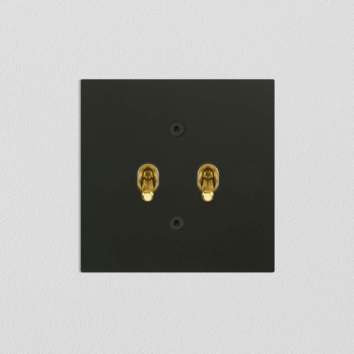 Contemporary Toggle Switches